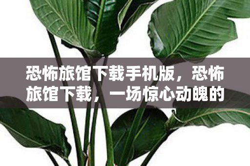 恐怖旅馆下载手机版,恐怖旅馆下载,一场惊心动魄的数字冒险 恐怖旅馆下载手机版,恐怖旅馆下载,一场惊心动魄的数字冒险