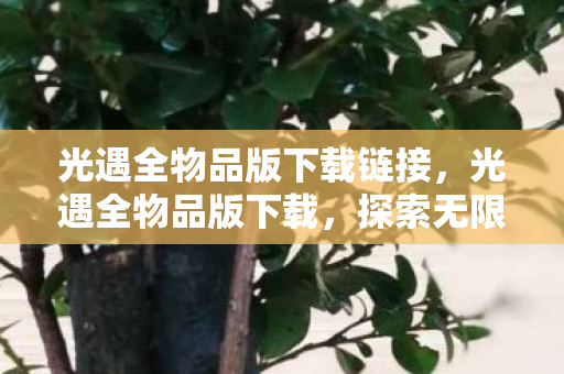 光遇全物品版下载链接，光遇全物品版下载，探索无限可能的奇妙之旅