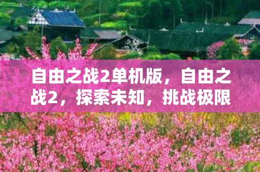 自由之战2单机版,自由之战2,探索未知,挑战极限 自由之战2单机版,自由之战2,探索未知,挑战极限