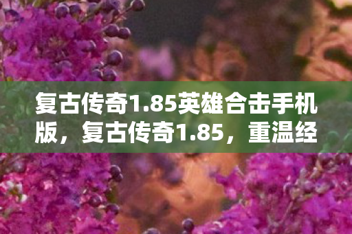复古传奇1.85英雄合击手机版,复古传奇1.85,重温经典,再燃激情 复古传奇1.85英雄合击手机版,复古传奇1.85,重温经典,再燃激情