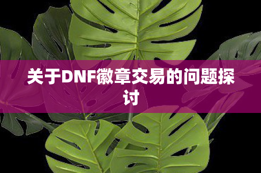 关于DNF徽章交易的问题探讨
