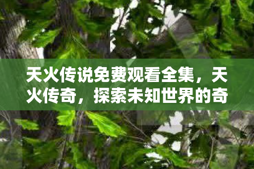 探索未知世界的奇幻之旅图片