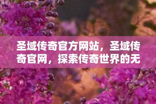 探索传奇世界的无尽奥秘图片