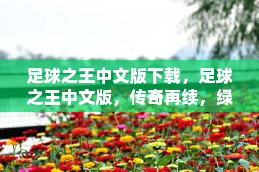 足球之王中文版下载,足球之王中文版,传奇再续,绿茵场上的不朽传奇 足球之王中文版下载,足球之王中文版,传奇再续,绿茵场上的不朽传奇