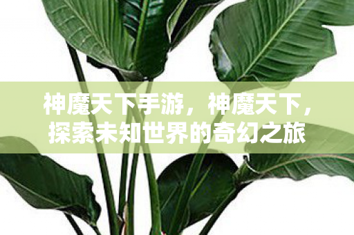探索未知世界的奇幻之旅图片