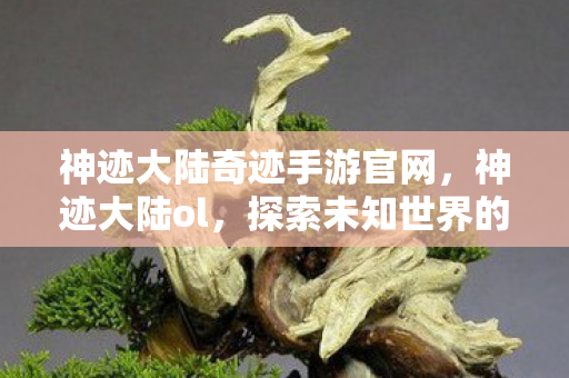 探索未知世界的奇幻之旅图片