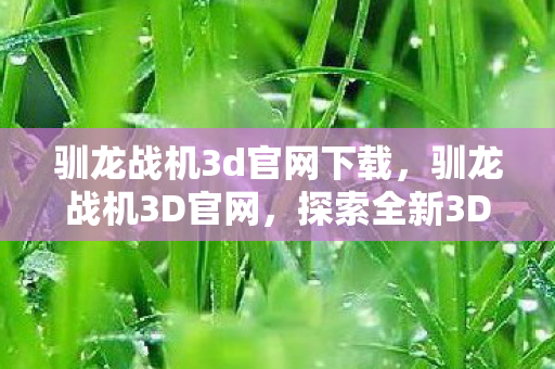 驯龙战机3d官网下载,驯龙战机3D官网,探索全新3D飞行射击体验 驯龙战机3d官网下载,驯龙战机3D官网,探索全新3D飞行射击体验