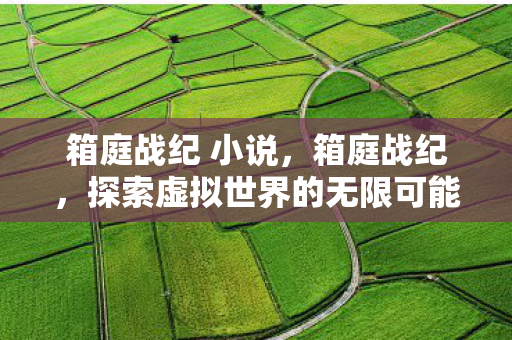 箱庭战纪 小说,箱庭战纪,探索虚拟世界的无限可能 箱庭战纪 小说,箱庭战纪,探索虚拟世界的无限可能