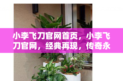 小李飞刀官网首页,小李飞刀官网,经典再现,传奇永恒 小李飞刀官网首页,小李飞刀官网,经典再现,传奇永恒
