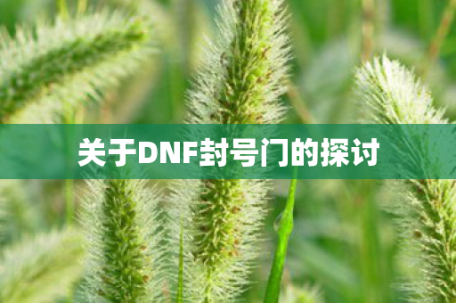 关于DNF封号门的探讨
