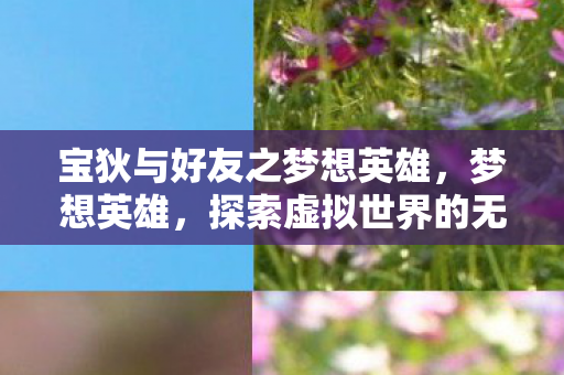 宝狄与好友之梦想英雄，梦想英雄，探索虚拟世界的无限可能