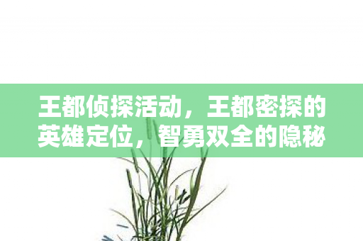 王都侦探活动,王都密探的英雄定位,智勇双全的隐秘守护者 王都侦探活动,王都密探的英雄定位,智勇双全的隐秘守护者