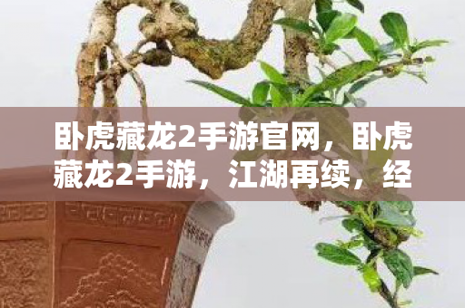 卧虎藏龙2手游官网图片