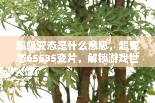 超级变态是什么意思，超变态65535变片，解锁游戏世界的无限可能