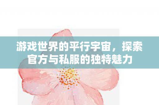 游戏世界的平行宇宙,探索官方与私服的独特魅力 游戏世界的平行宇宙,探索官方与私服的独特魅力