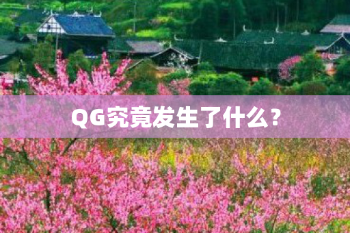 QG究竟发生了什么? QG究竟发生了什么?