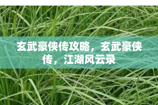 玄武豪侠传攻略,玄武豪侠传,江湖风云录 玄武豪侠传攻略,玄武豪侠传,江湖风云录