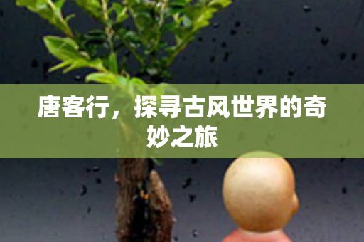 唐客行，探寻古风世界的奇妙之旅