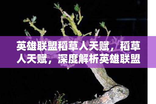 英雄联盟稻草人天赋，稻草人天赋，深度解析英雄联盟中的恐怖存在