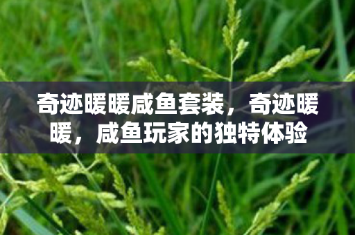 奇迹暖暖咸鱼套装,奇迹暖暖,咸鱼玩家的独特体验 奇迹暖暖咸鱼套装,奇迹暖暖,咸鱼玩家的独特体验