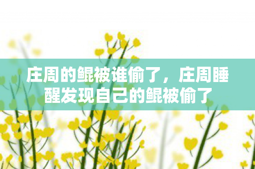 庄周的鲲被谁偷了，庄周睡醒发现自己的鲲被偷了