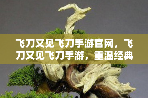 飞刀又见飞刀手游官网,飞刀又见飞刀手游,重温经典,再续传奇 飞刀又见飞刀手游官网,飞刀又见飞刀手游,重温经典,再续传奇
