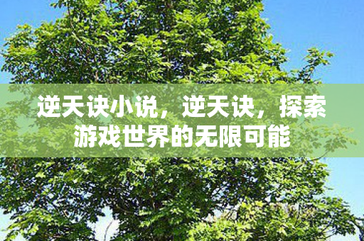 逆天诀小说,逆天诀,探索游戏世界的无限可能 逆天诀小说,逆天诀,探索游戏世界的无限可能