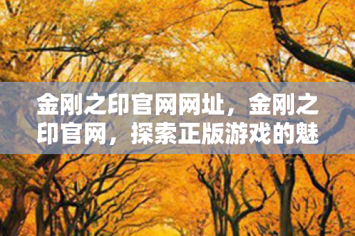 金刚之印官网网址，金刚之印官网，探索正版游戏的魅力与无限可能