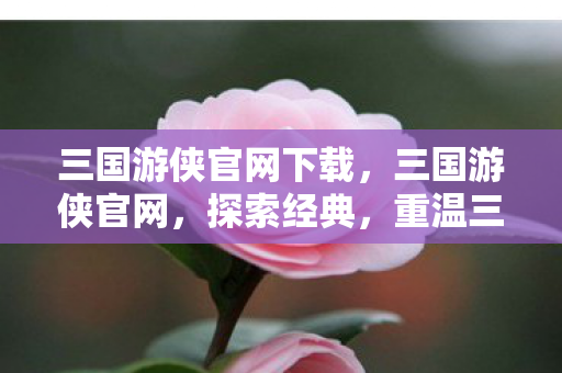 三国游侠官网下载,三国游侠官网,探索经典,重温三国传奇 三国游侠官网下载,三国游侠官网,探索经典,重温三国传奇