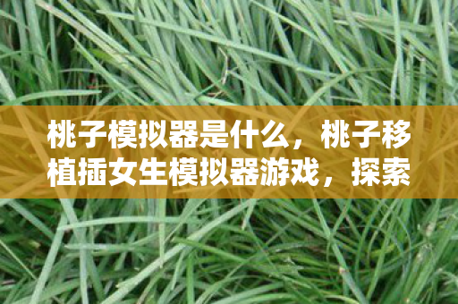 桃子模拟器是什么，桃子移植插女生模拟器游戏，探索虚拟世界的浪漫之旅