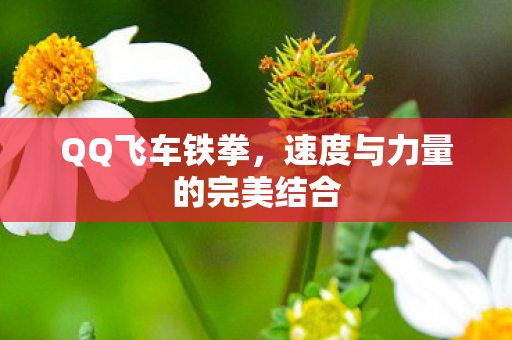 QQ飞车铁拳,速度与力量的完美结合 QQ飞车铁拳,速度与力量的完美结合