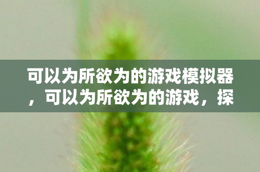 可以为所欲为的游戏模拟器，可以为所欲为的游戏，探索虚拟世界的无限可能