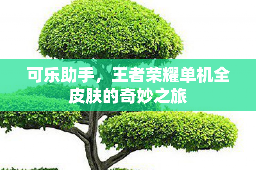 可乐助手，王者荣耀单机全皮肤的奇妙之旅