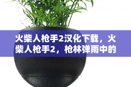 火柴人枪手2汉化下载,火柴人枪手2,枪林弹雨中的正义之旅 火柴人枪手2汉化下载,火柴人枪手2,枪林弹雨中的正义之旅