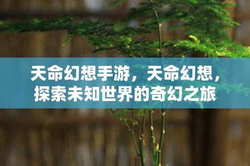 天命幻想手游,天命幻想,探索未知世界的奇幻之旅 天命幻想手游,天命幻想,探索未知世界的奇幻之旅
