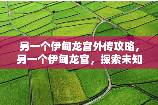 另一个伊甸龙宫外传攻略,另一个伊甸龙宫,探索未知世界的奇幻之旅 另一个伊甸龙宫外传攻略,另一个伊甸龙宫,探索未知世界的奇幻之旅