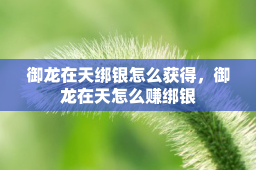 御龙在天绑银怎么获得，御龙在天怎么赚绑银