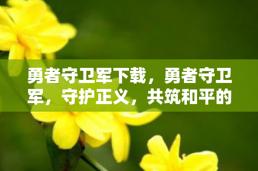 勇者守卫军下载,勇者守卫军,守护正义,共筑和平的传奇之旅 勇者守卫军下载,勇者守卫军,守护正义,共筑和平的传奇之旅