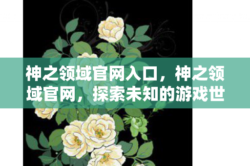 神之领域官网入口,神之领域官网,探索未知的游戏世界 神之领域官网入口,神之领域官网,探索未知的游戏世界