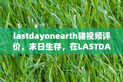 lastdayonearth猪视频评价，末日生存，在LASTDAYONEARTH猪中探索未知的世界