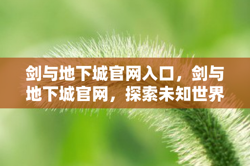 剑与地下城官网入口,剑与地下城官网,探索未知世界的奇幻之旅 剑与地下城官网入口,剑与地下城官网,探索未知世界的奇幻之旅