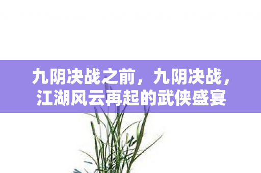 九阴决战之前,九阴决战,江湖风云再起的武侠盛宴 九阴决战之前,九阴决战,江湖风云再起的武侠盛宴