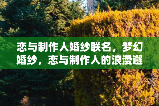 恋与制作人婚纱联名，梦幻婚纱，恋与制作人的浪漫邂逅