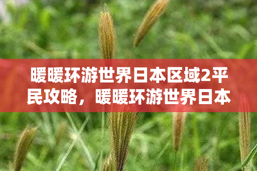 暖暖环游世界日本区域2平民攻略，暖暖环游世界日本区域2，探索日本的传统与现代的完美融合