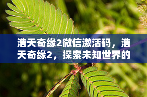 探索未知世界的奇幻之旅图片