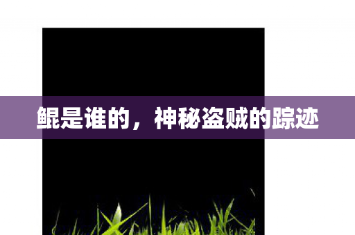 神秘盗贼的踪迹图片