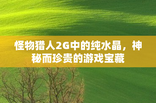 怪物猎人2G中的纯水晶,神秘而珍贵的游戏宝藏 怪物猎人2G中的纯水晶,神秘而珍贵的游戏宝藏