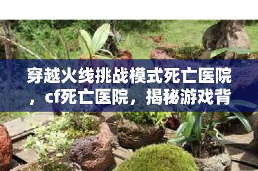 穿越火线挑战模式死亡医院，cf死亡医院，揭秘游戏背后的恐怖传说