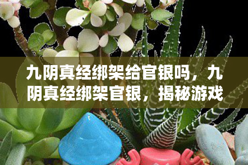 九阴真经绑架给官银吗，九阴真经绑架官银，揭秘游戏内经济系统的暗流涌动