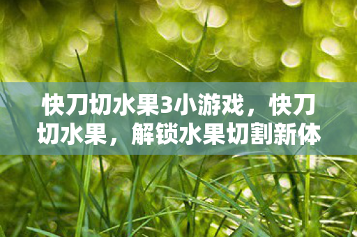快刀切水果3小游戏图片